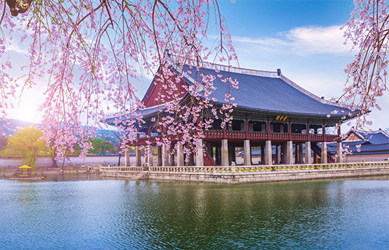 Tab 1: Gyeongbokgung palace in Seoul, South Korea