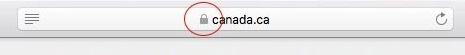 photo of https:// address and padlock in Safari browser window