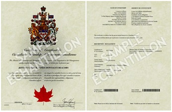 Example of an older certificate (front, back)