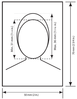 Image of the citizenship photo specifications described below