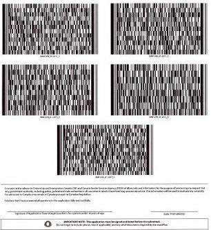 A page of barcodes