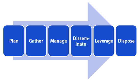 Information Lifecycle: sequence going from Plan to Gather, Manage, Disseminate, and Leverage to Dispose.