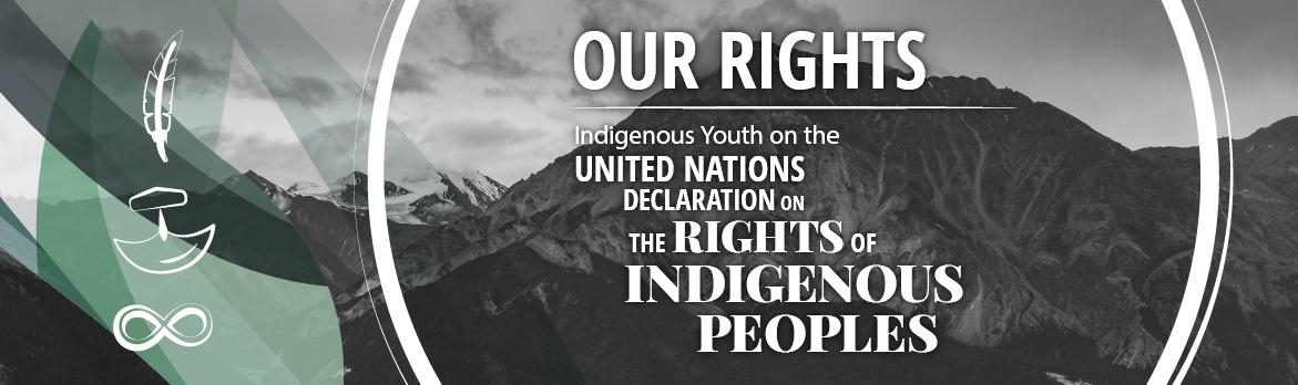 Watch the video: Voices on the UN Declaration on the Rights of Indigenous Peoples