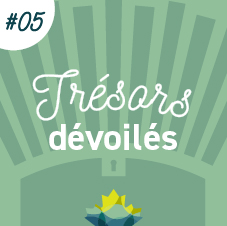 Coffre au trésor stylisé de couleur verte dans lequel se trouve la feuille d'érable de Bibliothèque et Archives Canada. Des rayons sortent du coffre. L'image porte le numéro 5.