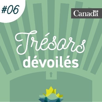 Coffre au trésor stylisé de couleur verte dans lequel se trouve la feuille d'érable de Bibliothèque et Archives Canada. Des rayons sortent du coffre. L'image porte le numéro 6.