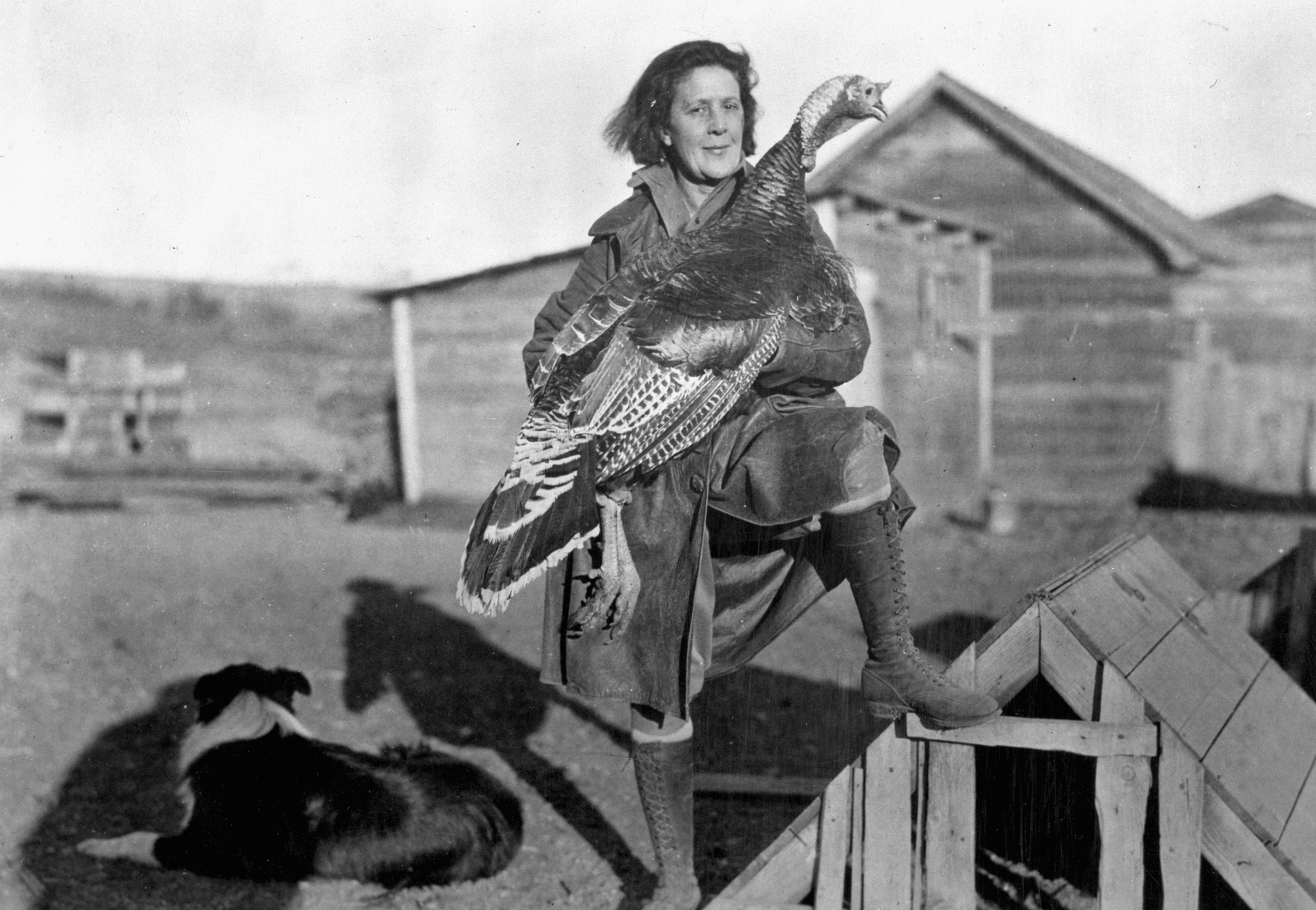 Femme dans une ferme tenant une dinde, un chien couché à côté d'elle.