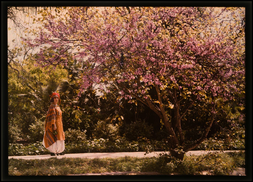 Femme portant un long manteau orange, un chapeau rouge et une longue jupe blanche, à côté d'un grand arbre à fleurs roses.