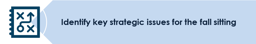 Identify key strategic issues for the fall sitting