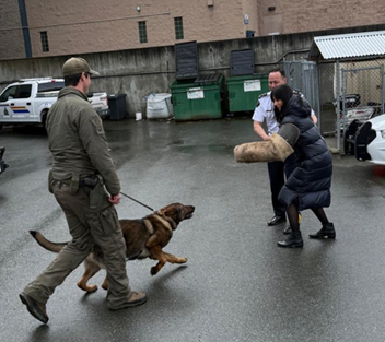 RCMP member doing a canine demonstration