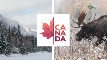 Montagne enneigée à côté d'une moitié de feuille d'érable et, à droite, un orignal dans un champ. Texte : Canada