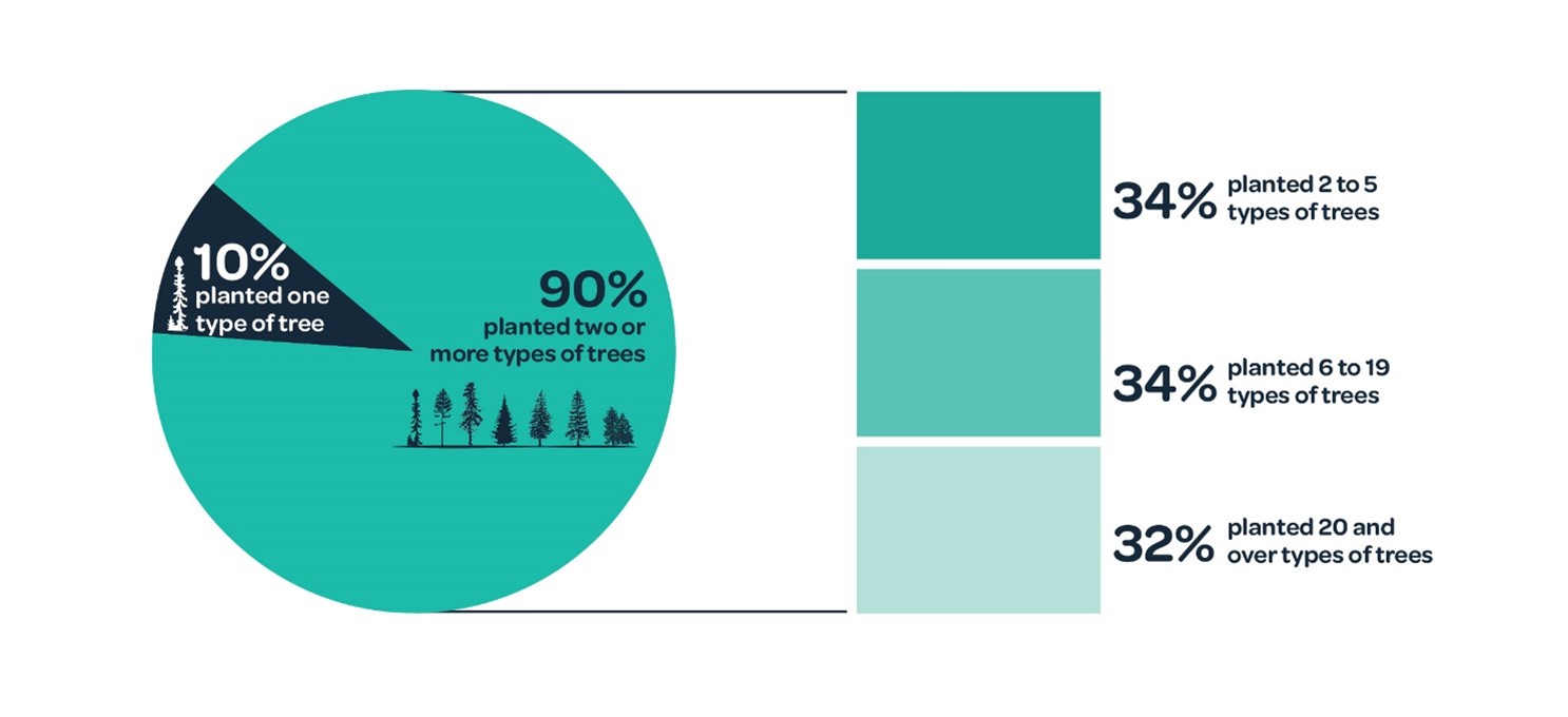 Chart, Types of trees planted by 2021 projects