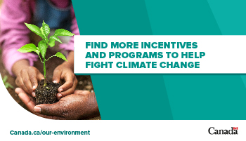Find more incentives and programs to help fight climate change