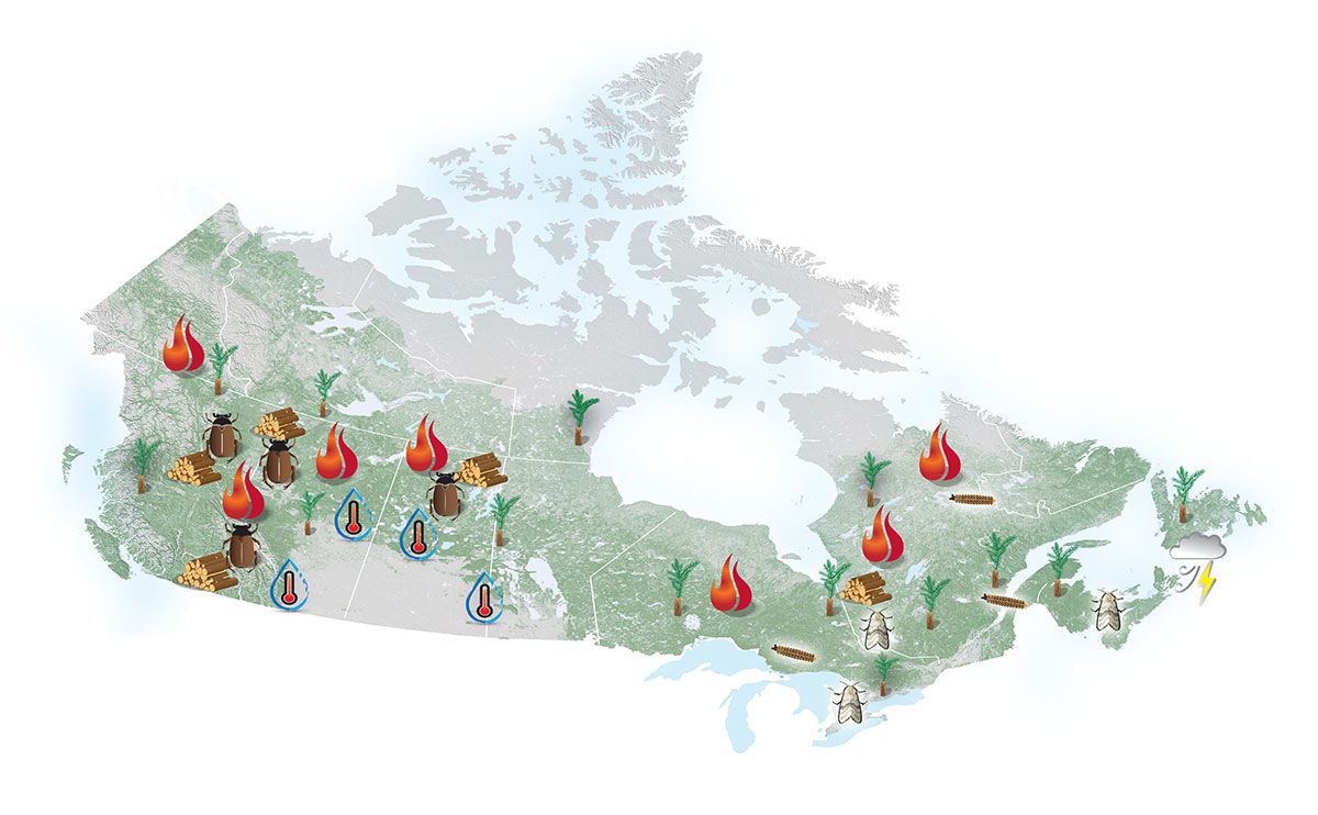 Map with icons indicating where different types of climate change forest adaptation solutions are used in Canada.
