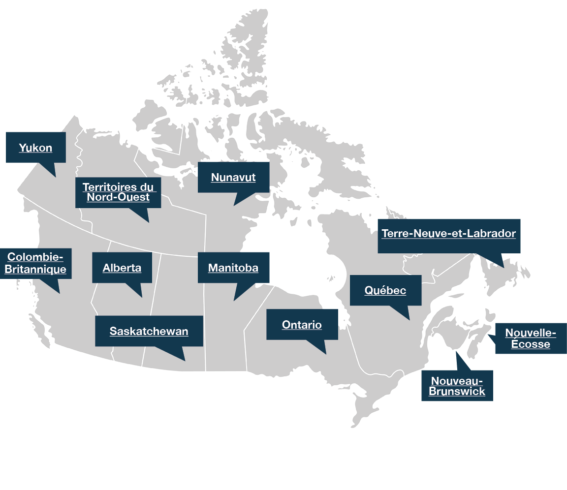 Carte du Canada qui illustre les provinces et les territoires qui ont mis en œuvre des stratégies sur les minéraux critiques.