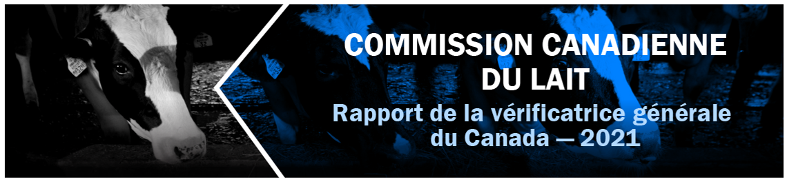 Illustration contenant une citation du rapport Illustration contenant une citation du rapport