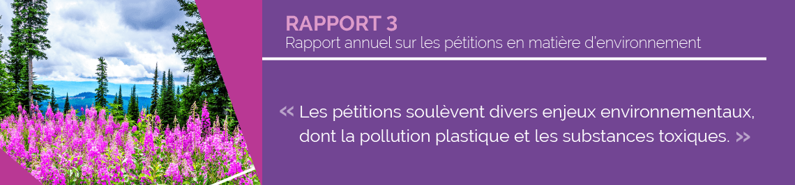 Illustration contenant une citation du rapport Illustration contenant une citation du rapport