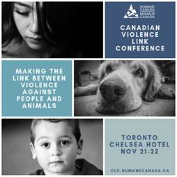 Violence Link Conference