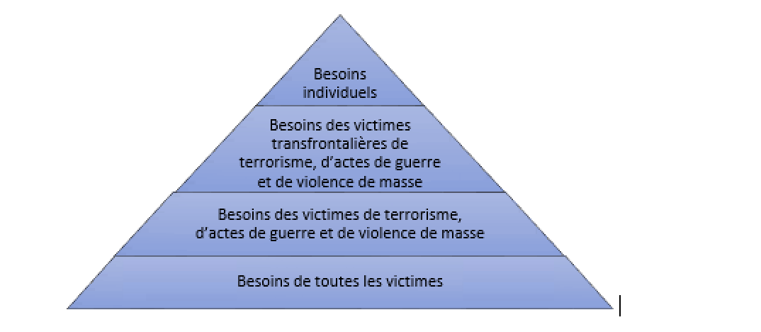 Figure 1. Besoins des victimes transfrontalières de terrorisme, d’actes de guerre et de violence de masse