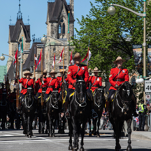 Des chevaux et cavaliers de la Gendarmerie royale du Canada escortent un landau.