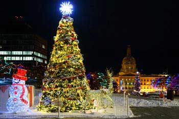 Christmas lights Edmonton (Alberta): View of green Christmas tree at the Legislative Assembly