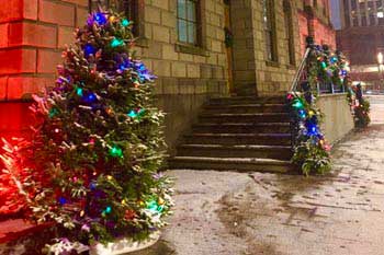 Christmas lights Halifax (Nova Scotia): Entrance of Province House with Christmas tree