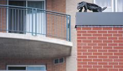 Photo of two bronze alley cat sculptures perched on the roof of the Murray Street parking garage.