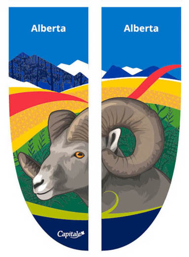 Deux panneaux de bannière, avec un mouflon des montagnes Rocheuses au premier plan et des rubans stylisés à l'arrière-plan.