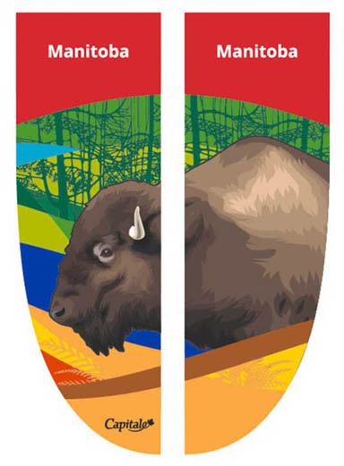 Two banner panels, featuring a bison in the foreground, and stylized ribb ons in the background.