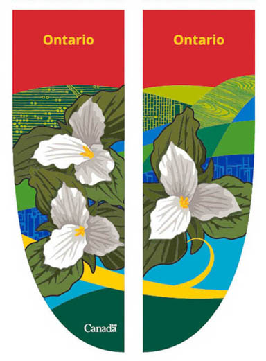 Deux panneaux de bannière, avec trois fleurs de Trillium blanc au premier plan et des rubans stylisés à l'arrière-plan.