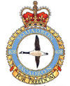 Badge of the 408 Tactical Helicopter Squadron