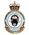 Badge of the No. 8 (Bomber Reconnaissance) Squadron, RCAF. RCAF stands for Royal Canadian Air Force.