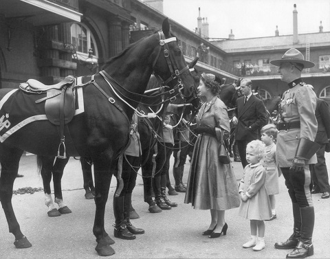 Her Majesty reviews the Royal Canadian Mounted Police horses