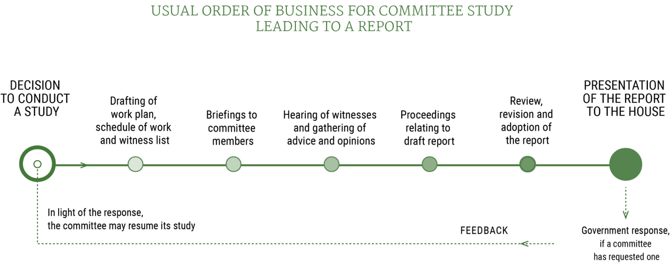 Timeline showing the order of business for committee studies leading to a report