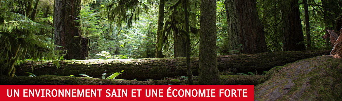 Un environnement sain et une économie forte