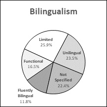 This pie chart presents data for bilingualism representation in Prince Edward Island.