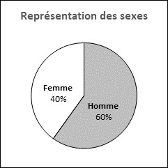 Ce graphique circulaire illustre la représentation des sexes pour toutes les candidatures reçues.