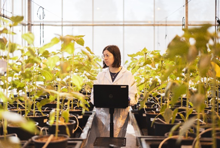 A lab scientist in a garden