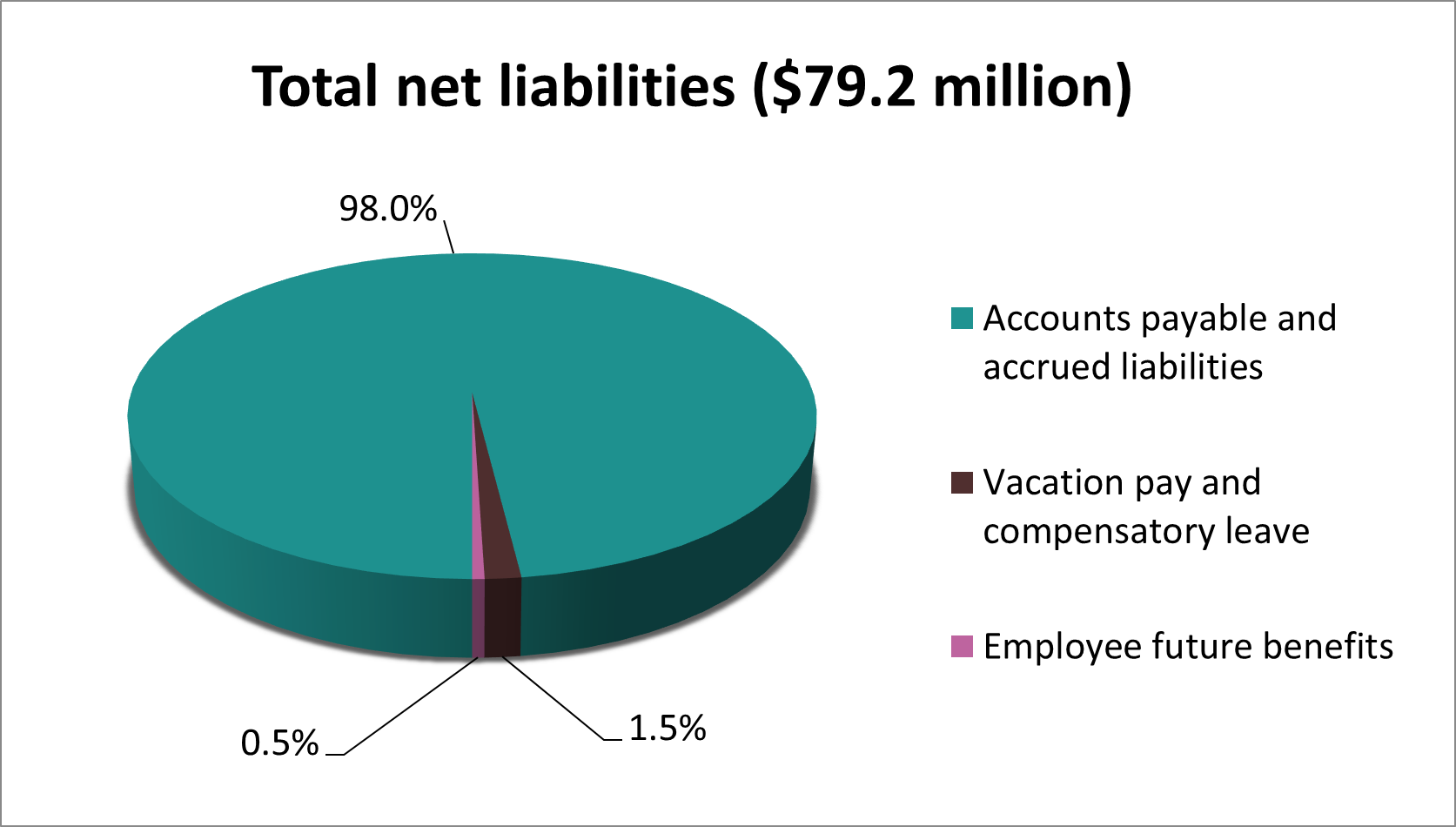 a pie chart showing a breakdown of total net liabilities
