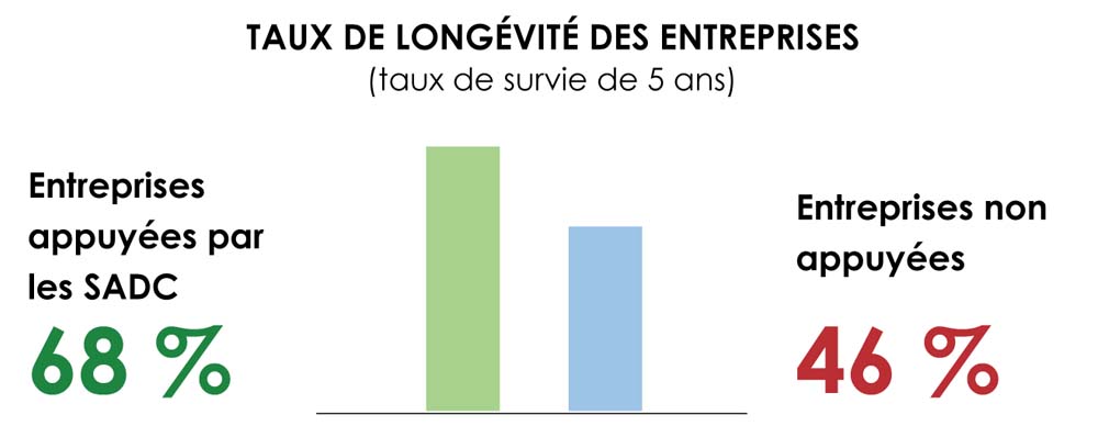 Taux de longévité des entreprises