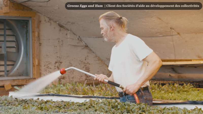 Un employé de Green Eggs and Ham arrose des semis dans une serre.