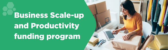 Business Scale-up and Productivity funding program