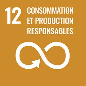 Goal 12: Responsible consumption and production