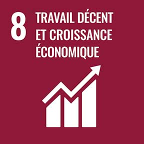 Objectif 8: Travail décent et croissance économique