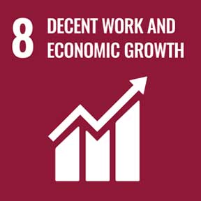 Goal 8: Decent work and economic growth