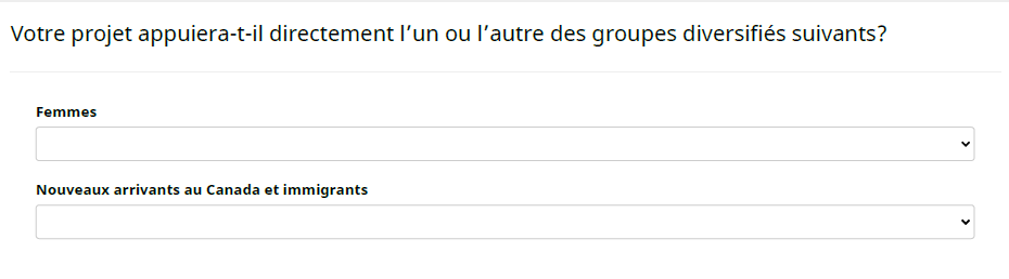 Screenshot - Diversity questions (3 of 4)