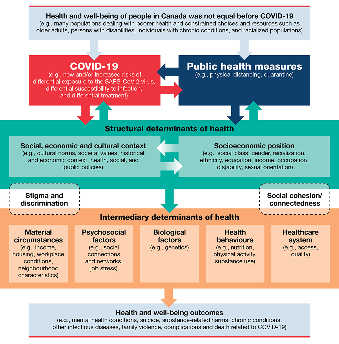 From Risk To Resilience An Equity Approach To Covid 19 The Chief Public Health Officer Of Canada S Report On The State Of Public Health In Canada Canada Ca