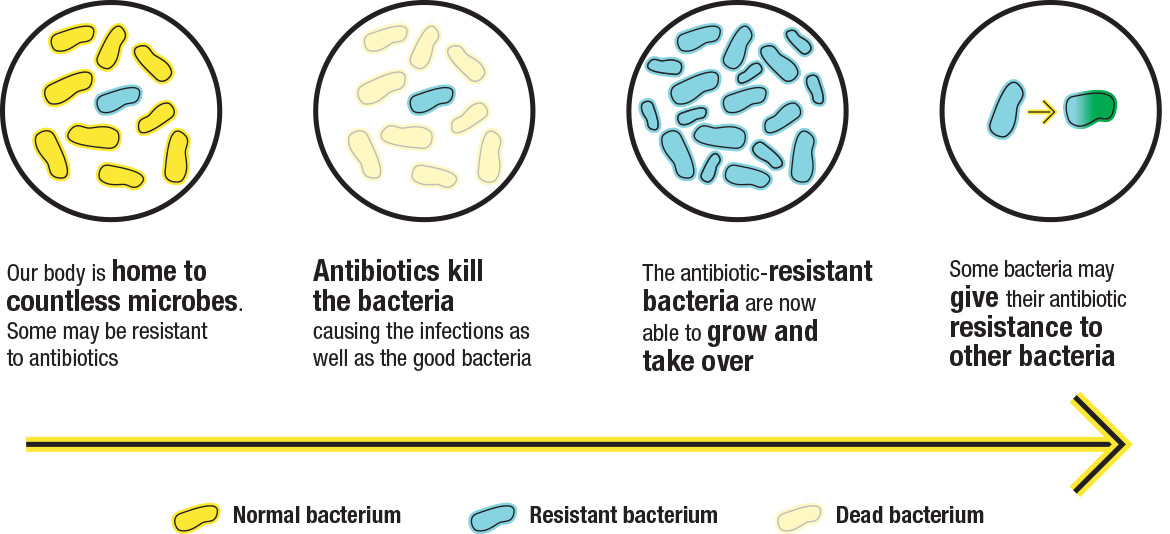 how can antibiotics stop bacterial infections