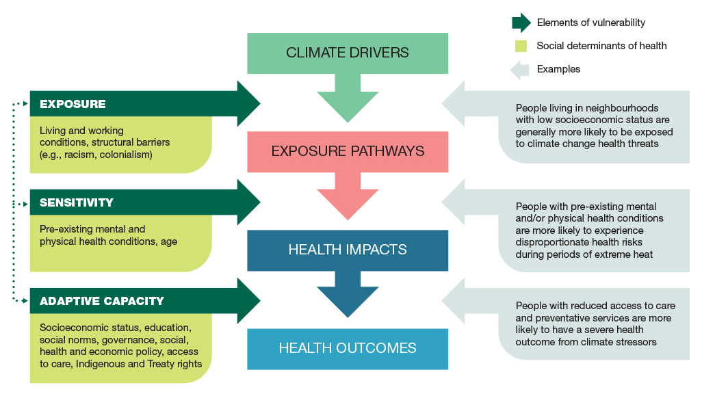 Figure 5: Pathways to climate change vulnerabilities and inequities