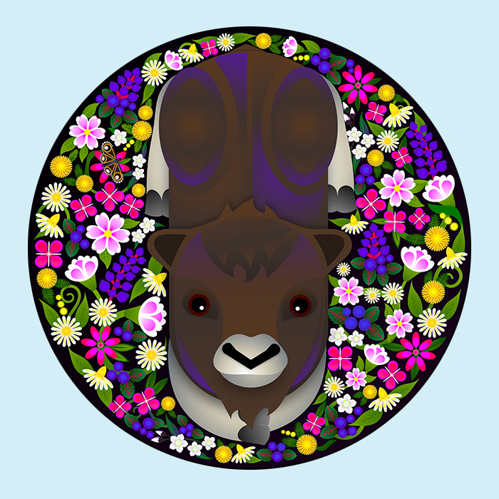 Illustration of a young muskox surrounded by a circular floral pattern featuring colourful flowers, leaves, and a butterfly