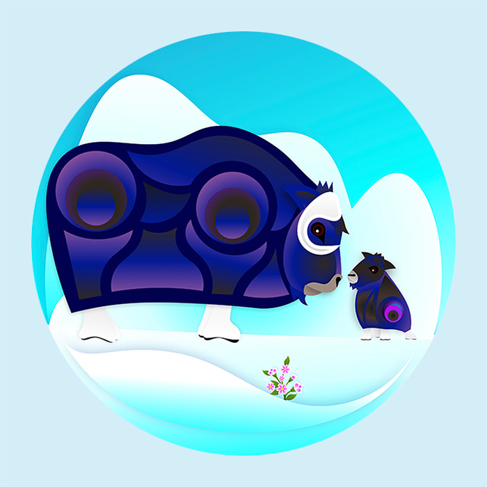 Illustration of an elderly and young muskox facing each other on the snowy tundra with a small Glacier Crawfoot flower blooming between them